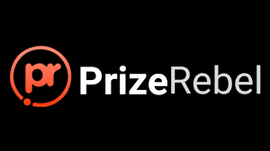 PrizeRebel Review 2025 Everything You Need to Know transferir (83)
