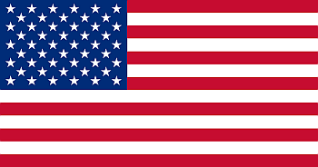 american surveys flag (1)