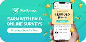 Surveys transferir 91 300x146 modified